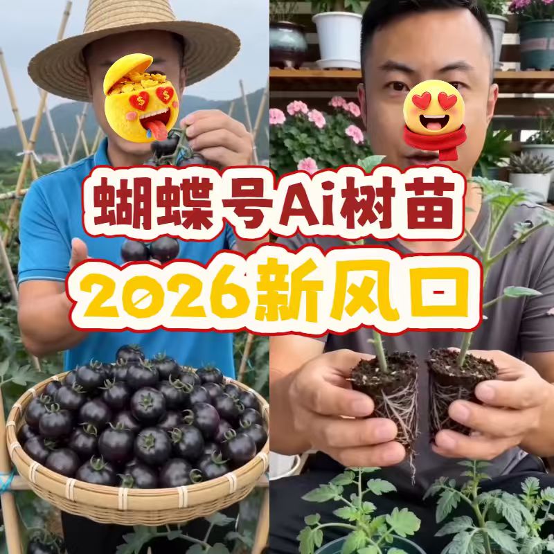 战友军创